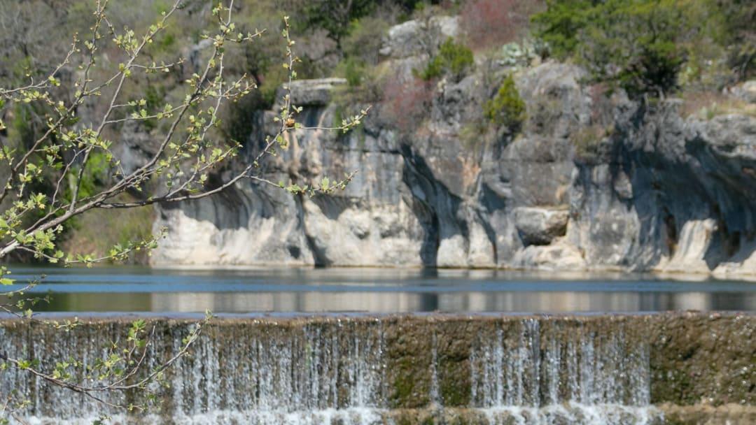 1441 Amanda Paige Dr, Georgetown, TX 78628