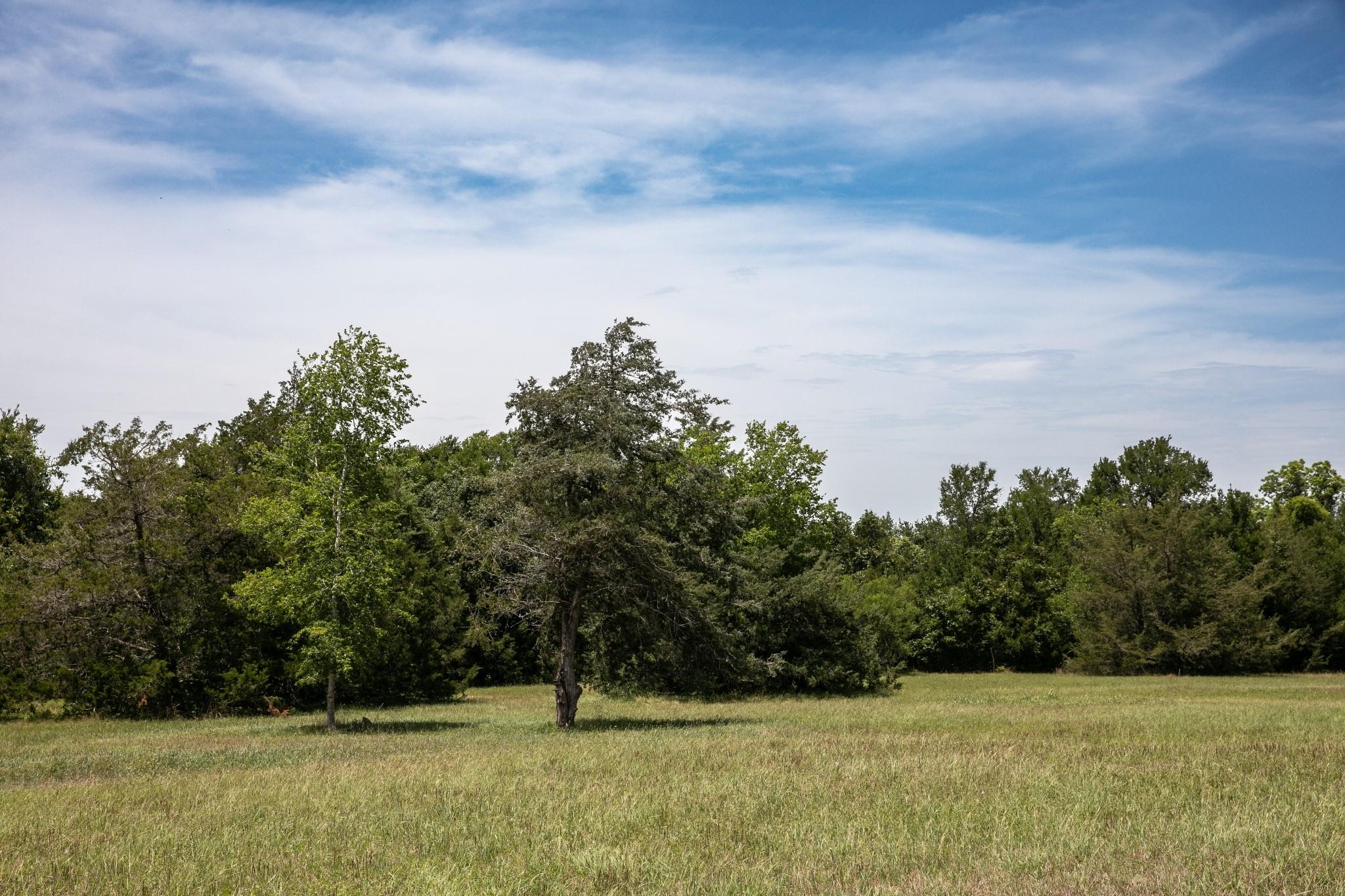 5427 Mustang Rd, Brenham, TX 77833