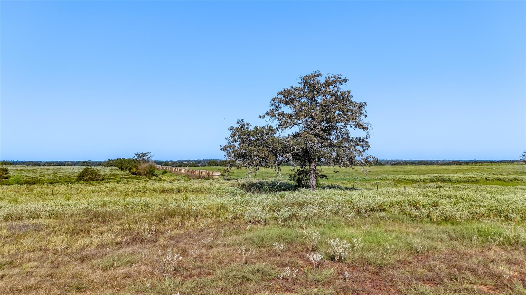 TBD County Road 326 (Tract 3), Giddings, TX 78942