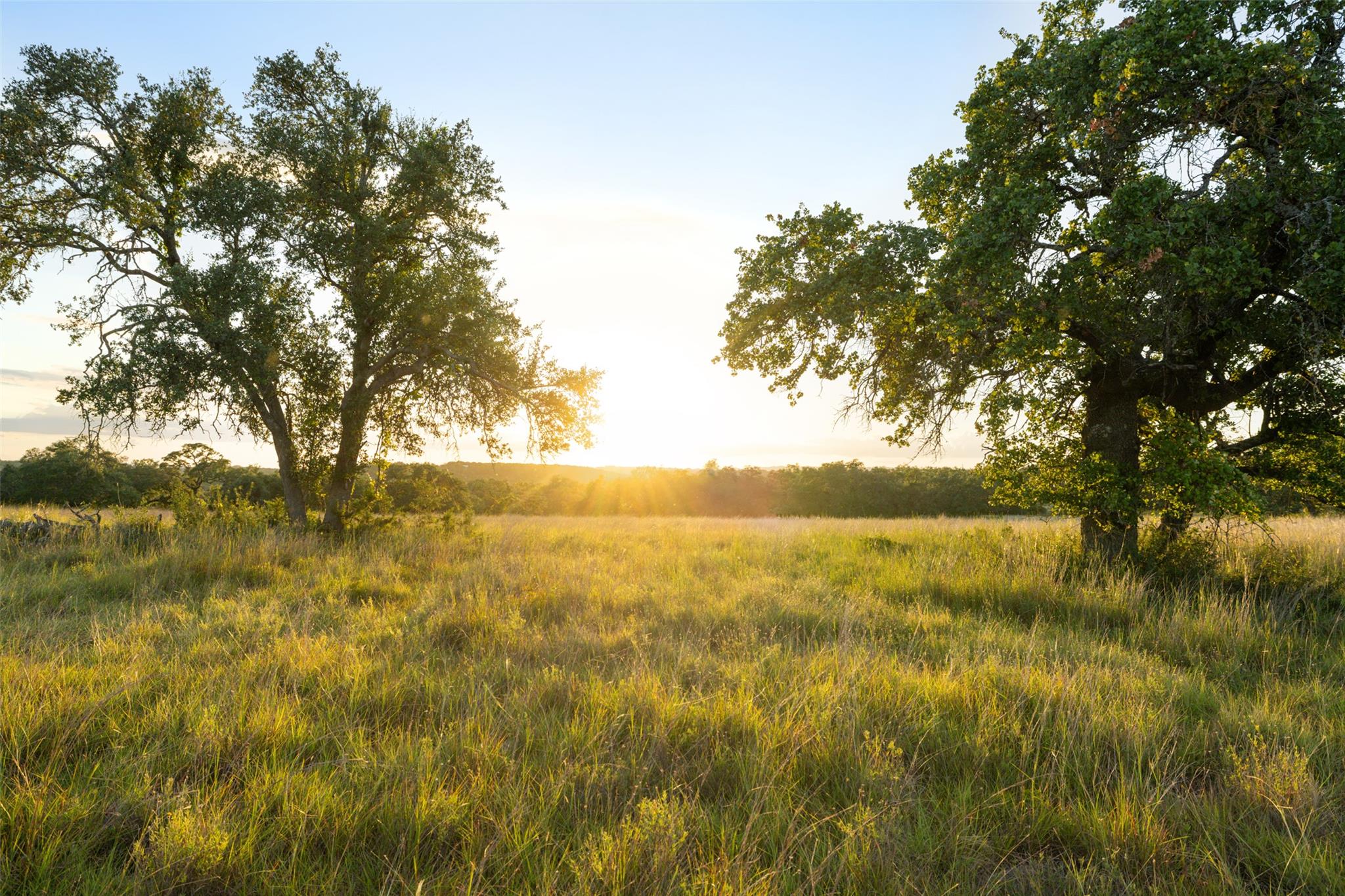 TBD Taylor Ridge RD, Blanco, TX 78606