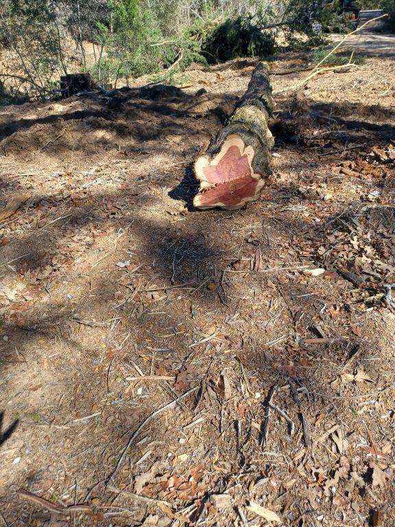 172 Pine Canyon Dr, Smithville, TX 78957