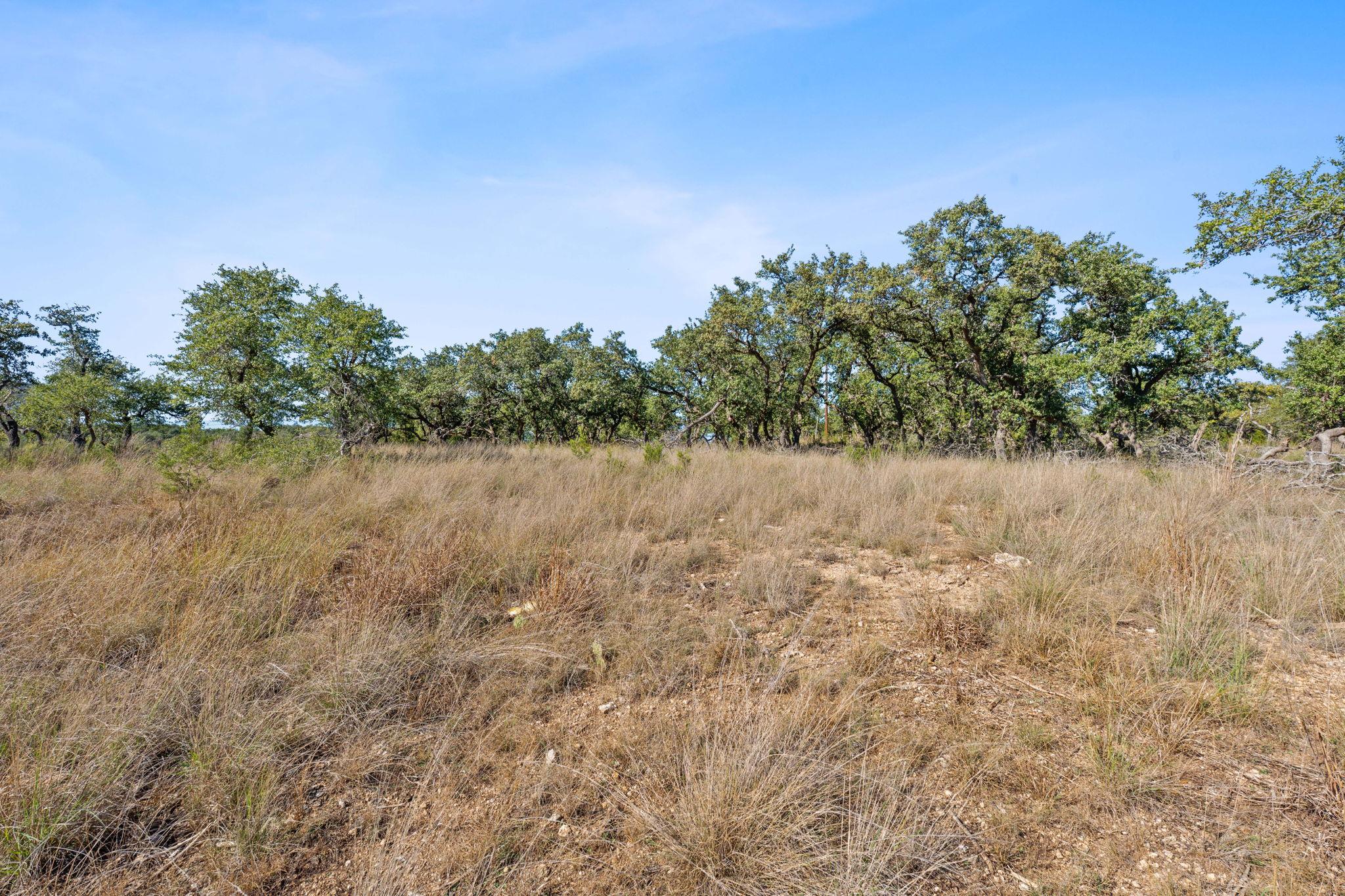 3981 & 3983 E Highway 290, Dripping Springs, TX 78620