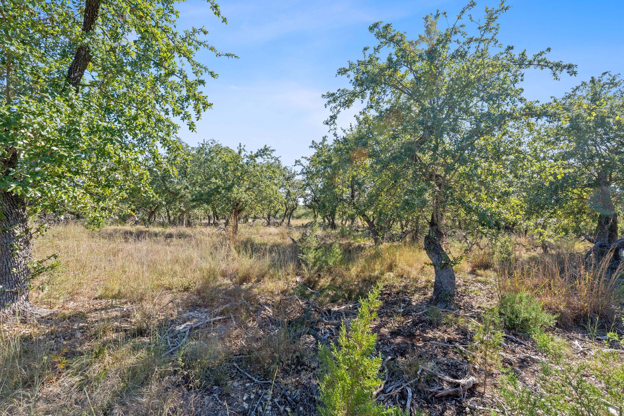 3981 & 3983 E Highway 290, Dripping Springs, TX 78620