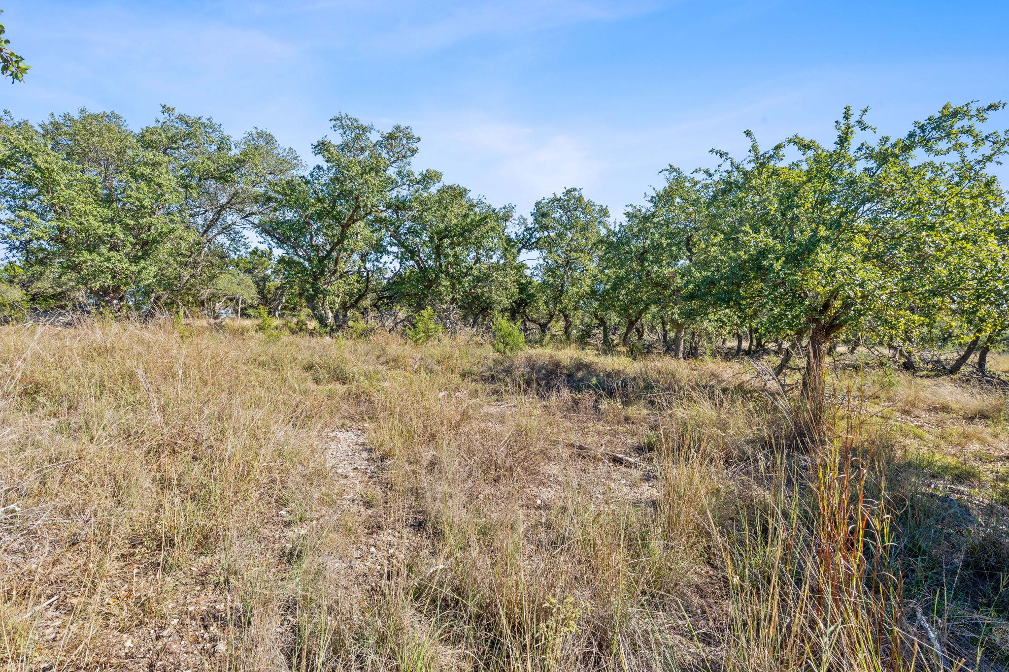 3981 & 3983 E Highway 290, Dripping Springs, TX 78620