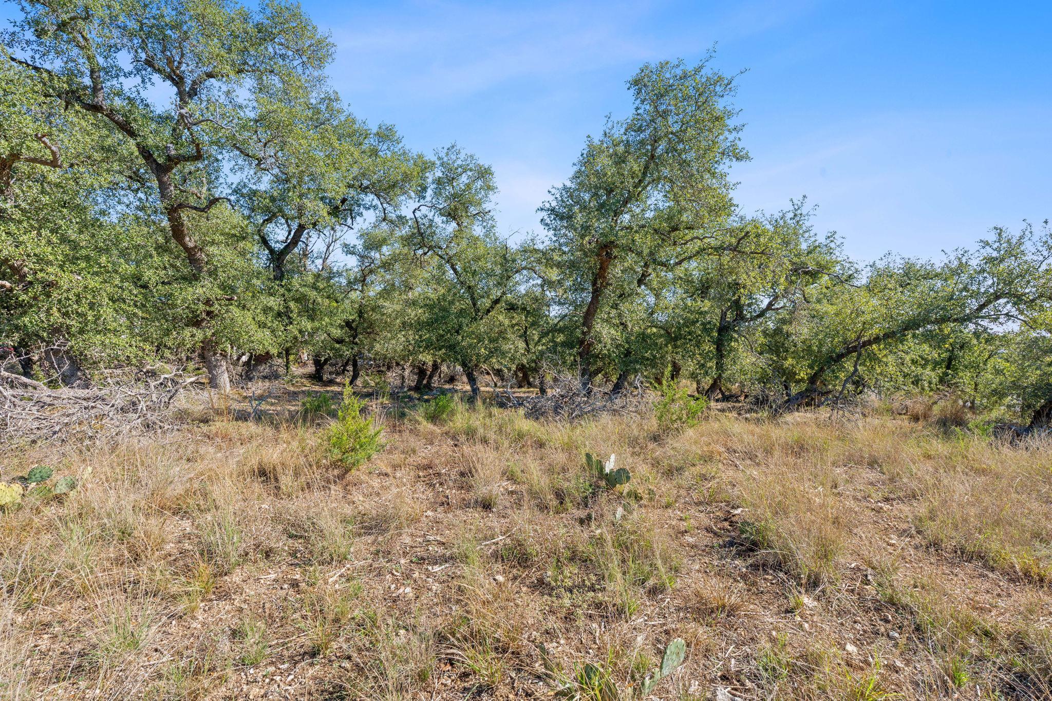 3981 & 3983 E Highway 290, Dripping Springs, TX 78620