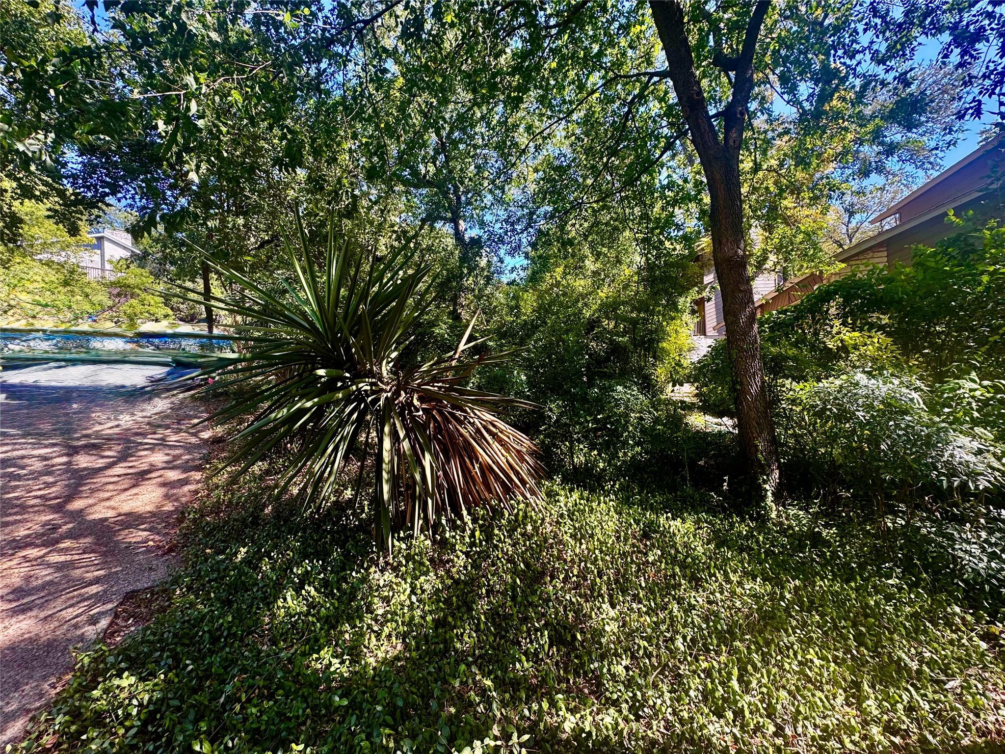 3513 Wendel Cv # E-9, Austin, TX 78731