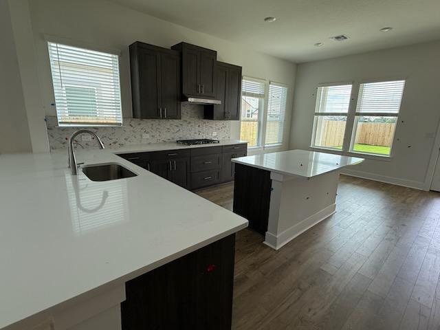 125 Arcilla Pass, Liberty Hill, TX 78642