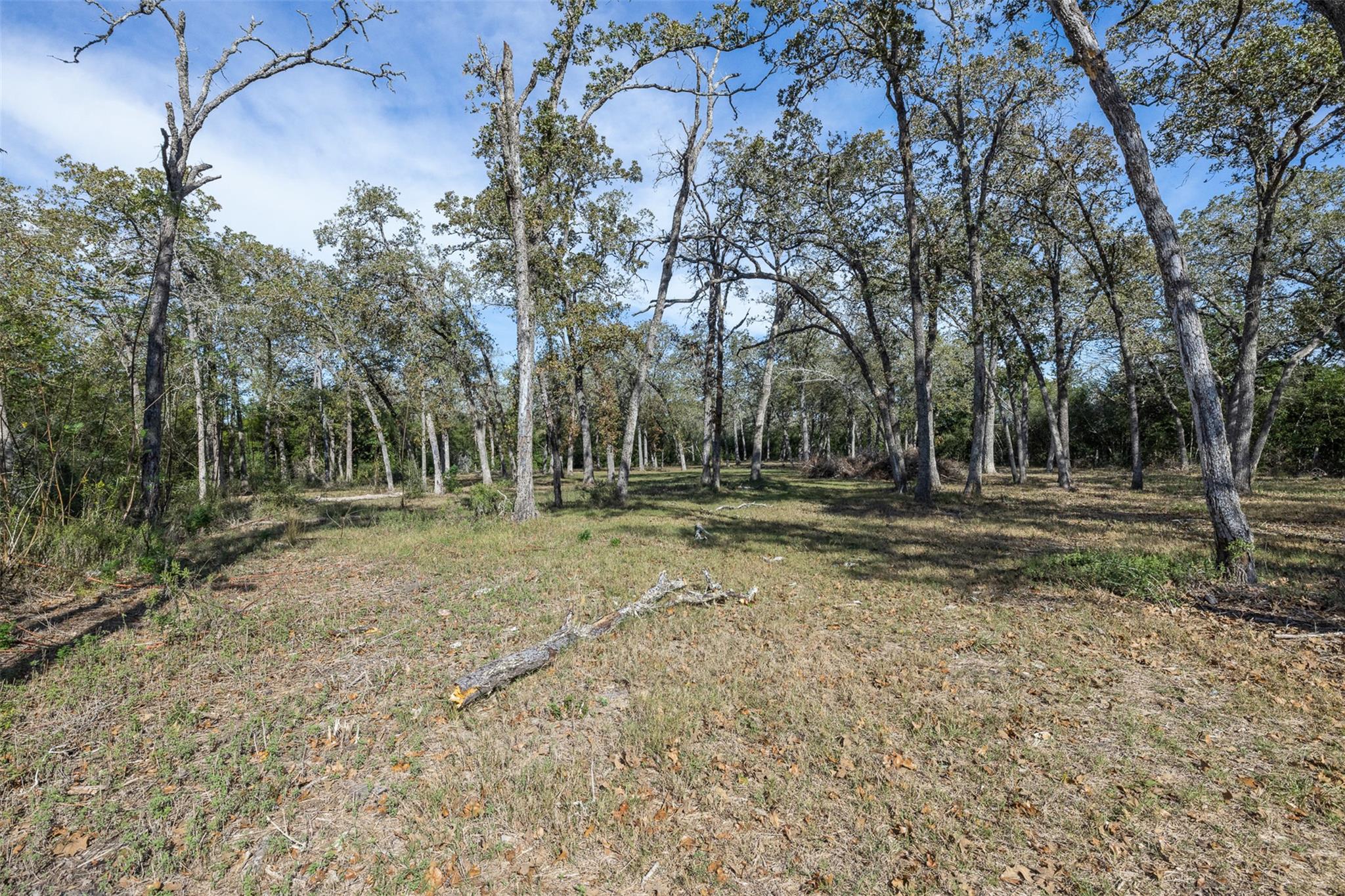 217 Timber Lake Dr, La Grange, TX 78945