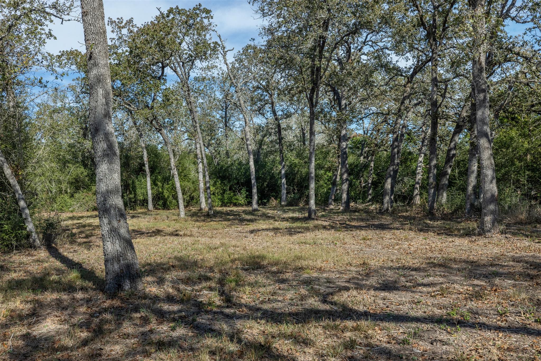 217 Timber Lake Dr, La Grange, TX 78945