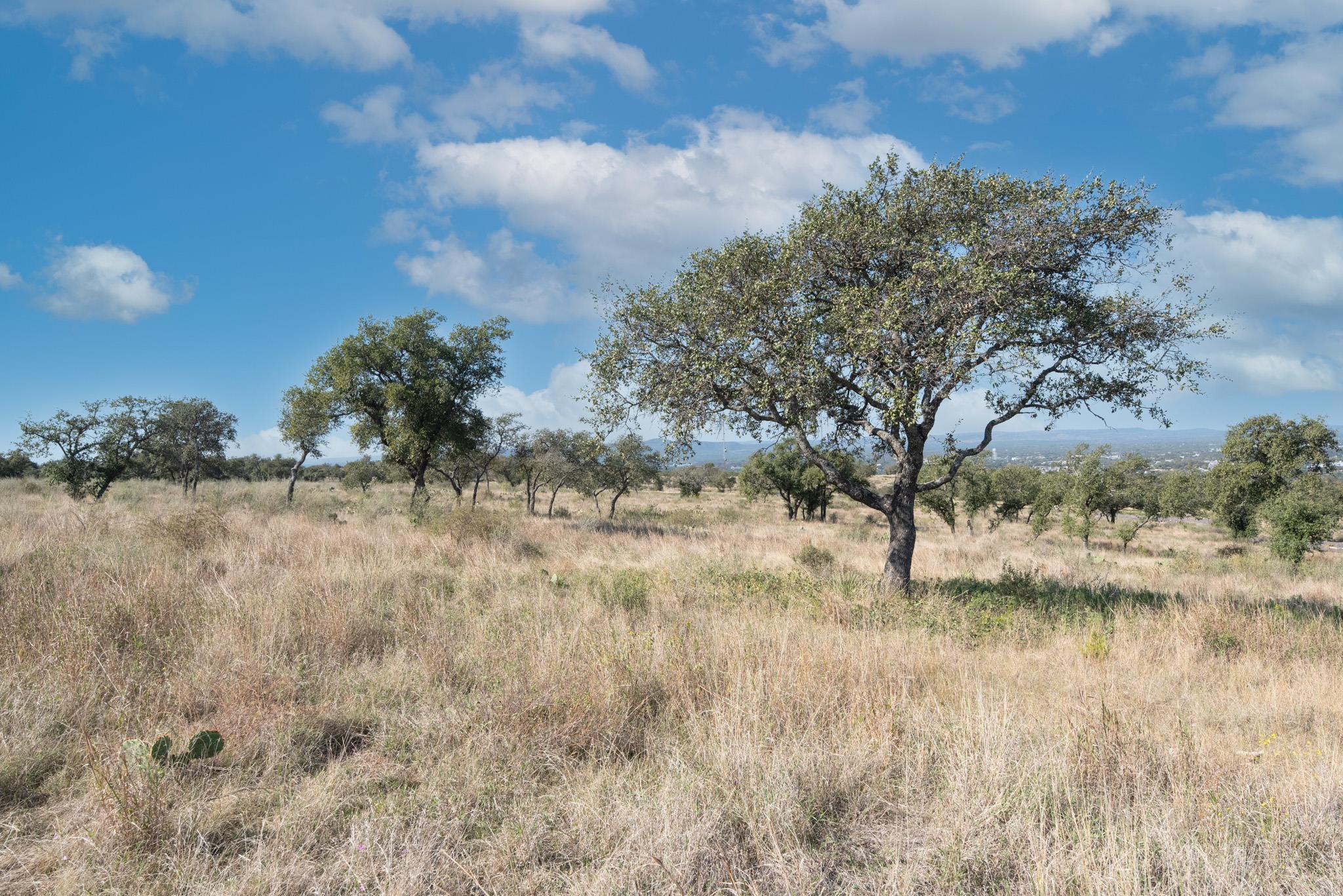 0 Whiterock, Kingsland, TX 78639