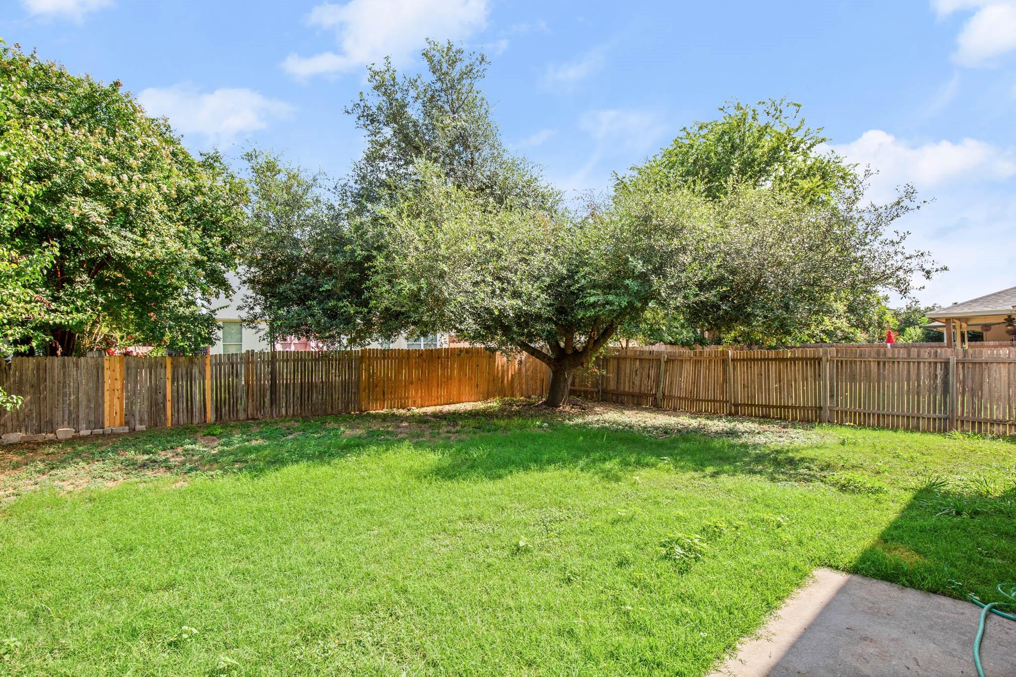 706 Johnny Bench Ct, Round Rock, TX 78665