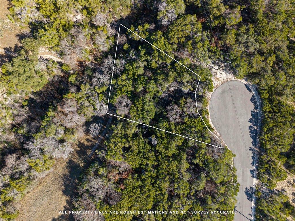 8310 Chestnut Cv, Lago Vista, TX 78645