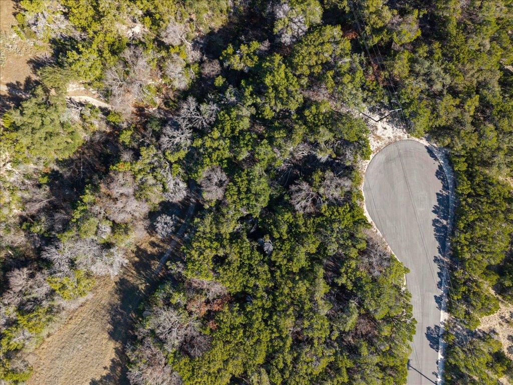 8310 Chestnut Cv, Lago Vista, TX 78645