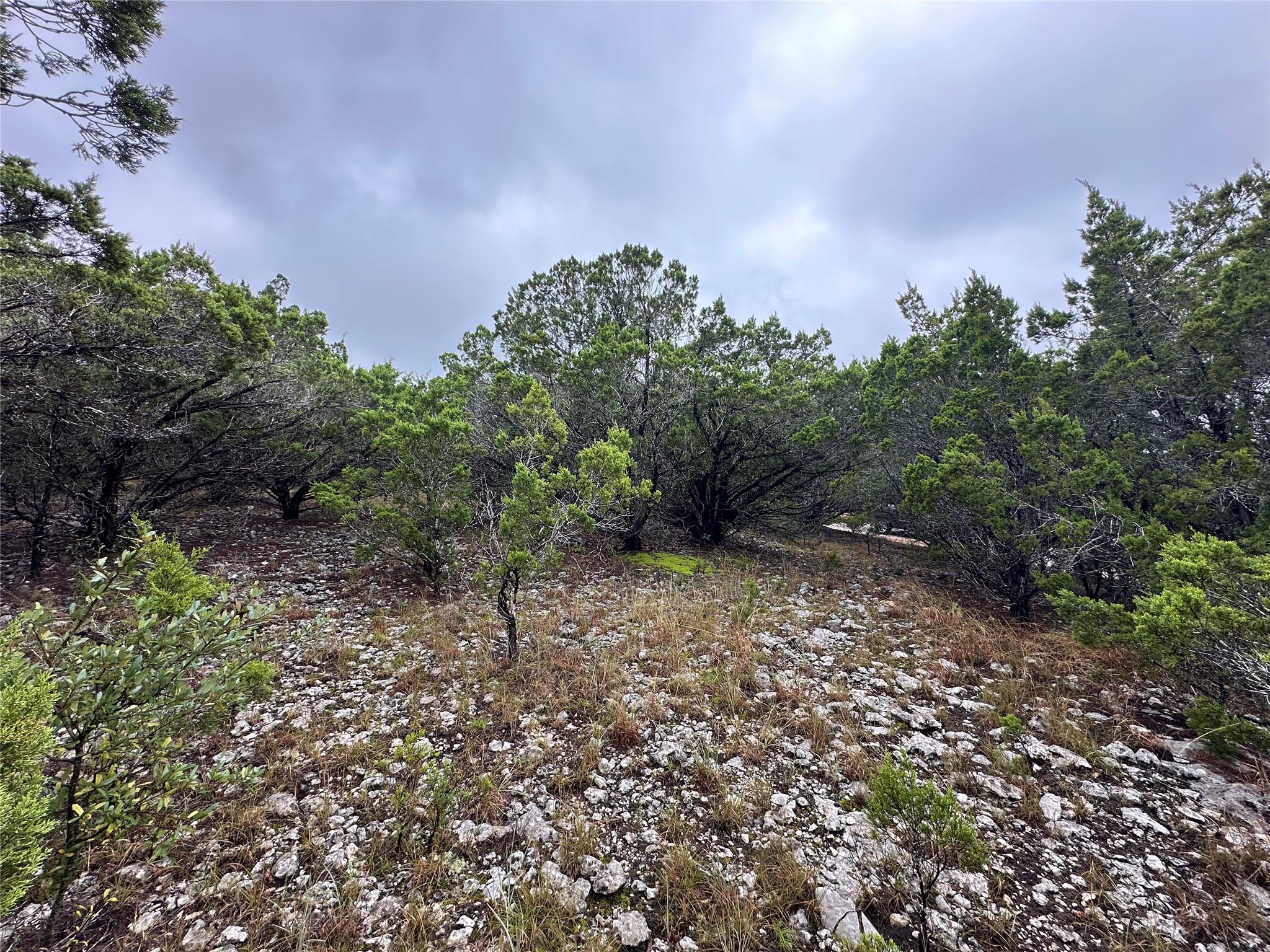 8413 Angus Trl, Lago Vista, TX 78645