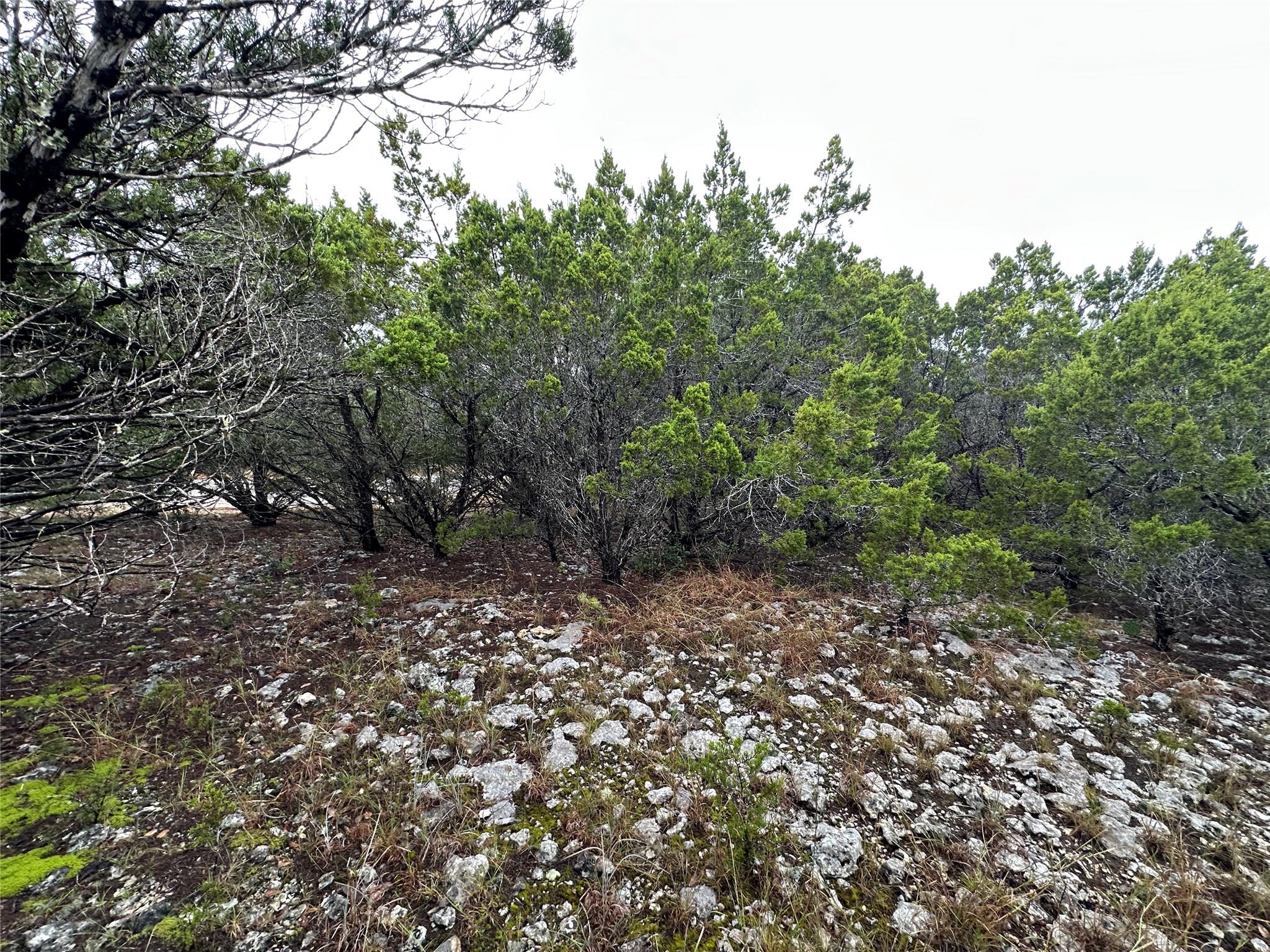 20600 Trinity Cv, Lago Vista, TX 78645