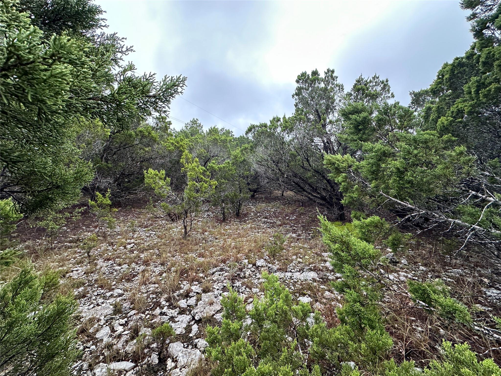 20600 Trinity Cv, Lago Vista, TX 78645