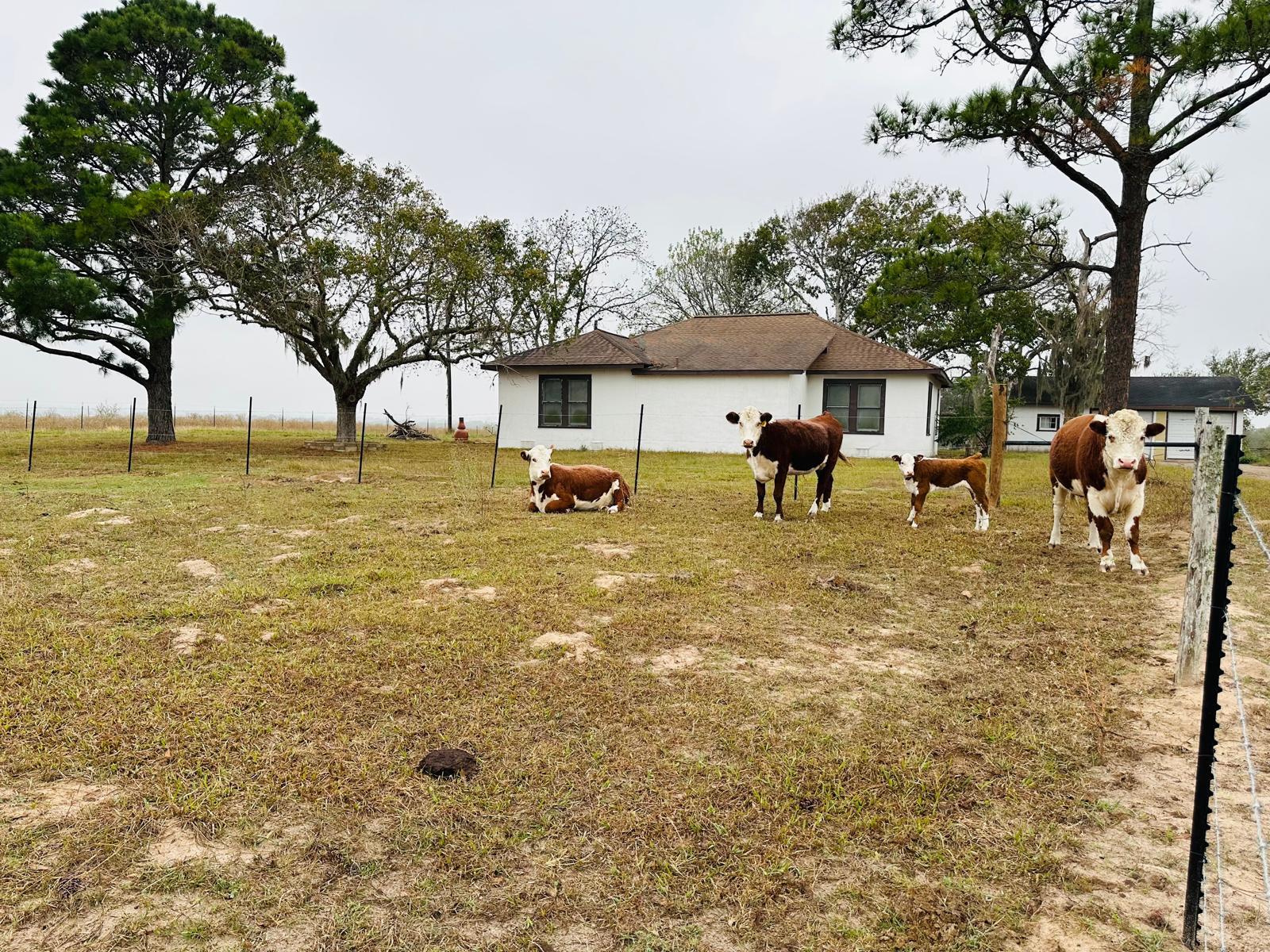 1696 E Fm 884, Yorktown, TX 78164