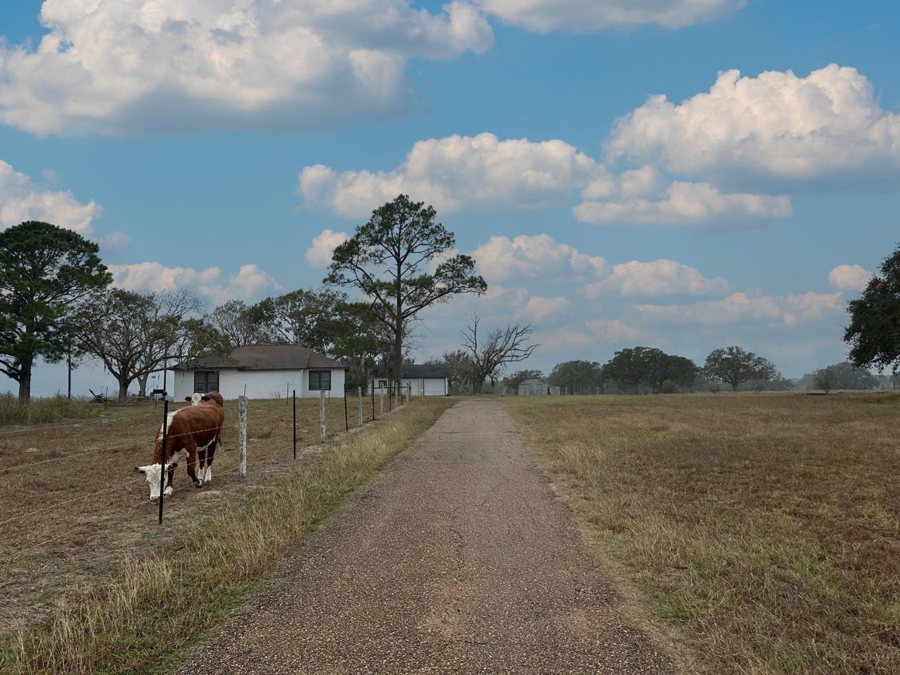 1696 E Fm 884, Yorktown, TX 78164