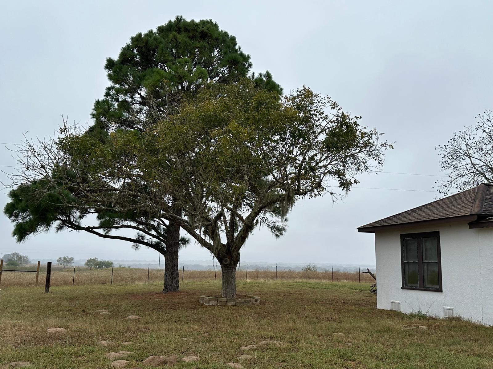 1696 E Fm 884, Yorktown, TX 78164