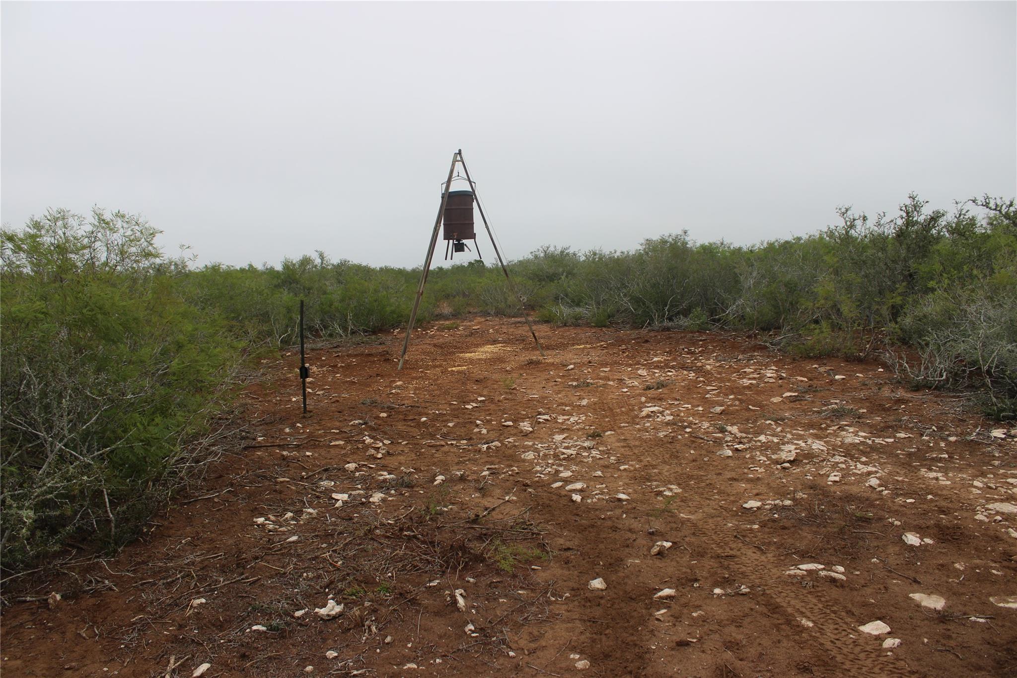 8993 N County Rd 101 Rd, San Diego, TX 78384