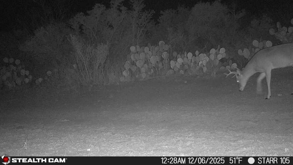 8993 N County Rd 101 Rd, San Diego, TX 78384