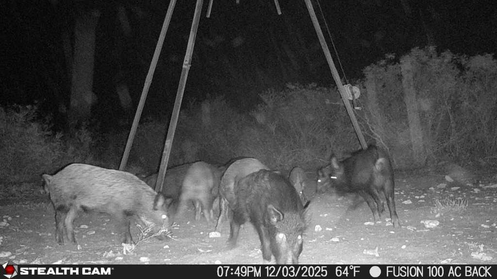 8993 N County Rd 101 Rd, San Diego, TX 78384