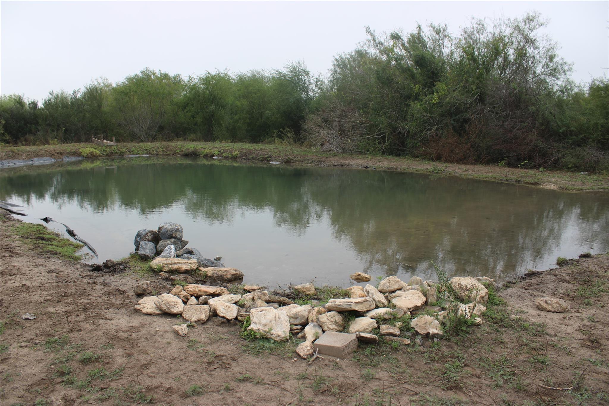 8993 N County Rd 101 Rd, San Diego, TX 78384