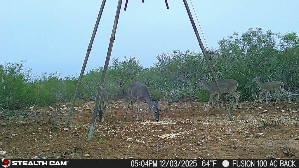 8993 N County Rd 101 Rd, San Diego, TX 78384