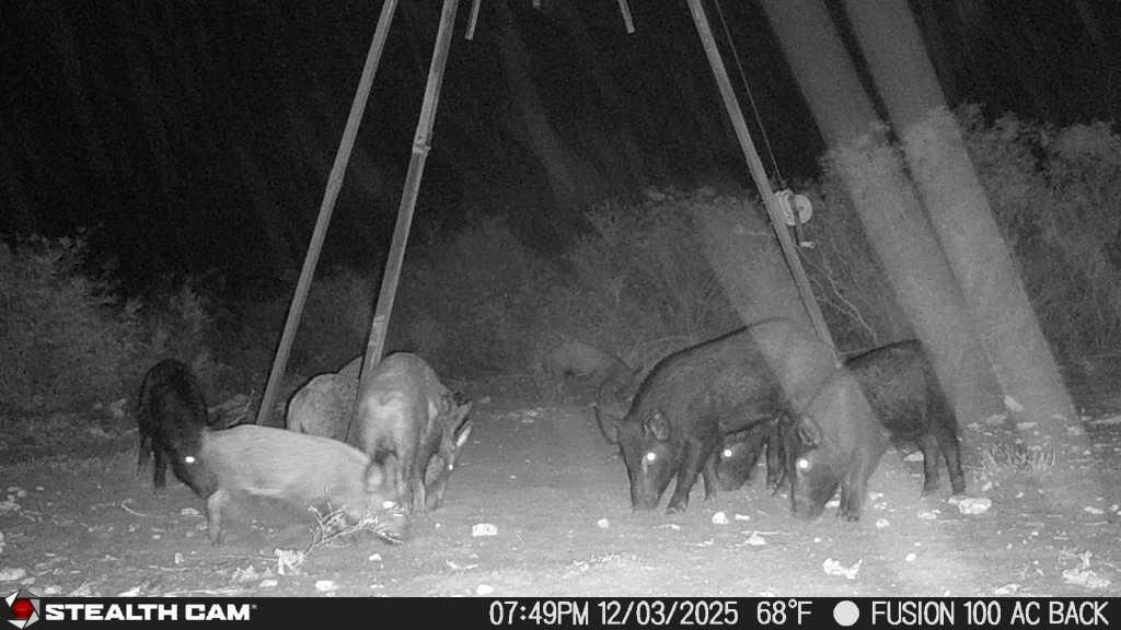 8993 N County Rd 101 Rd, San Diego, TX 78384