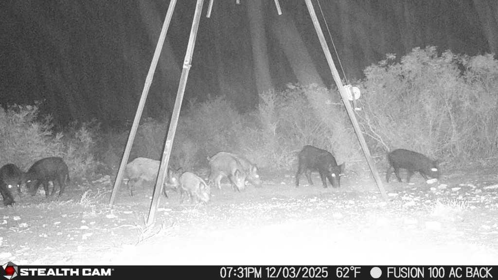 8993 N County Rd 101 Rd, San Diego, TX 78384