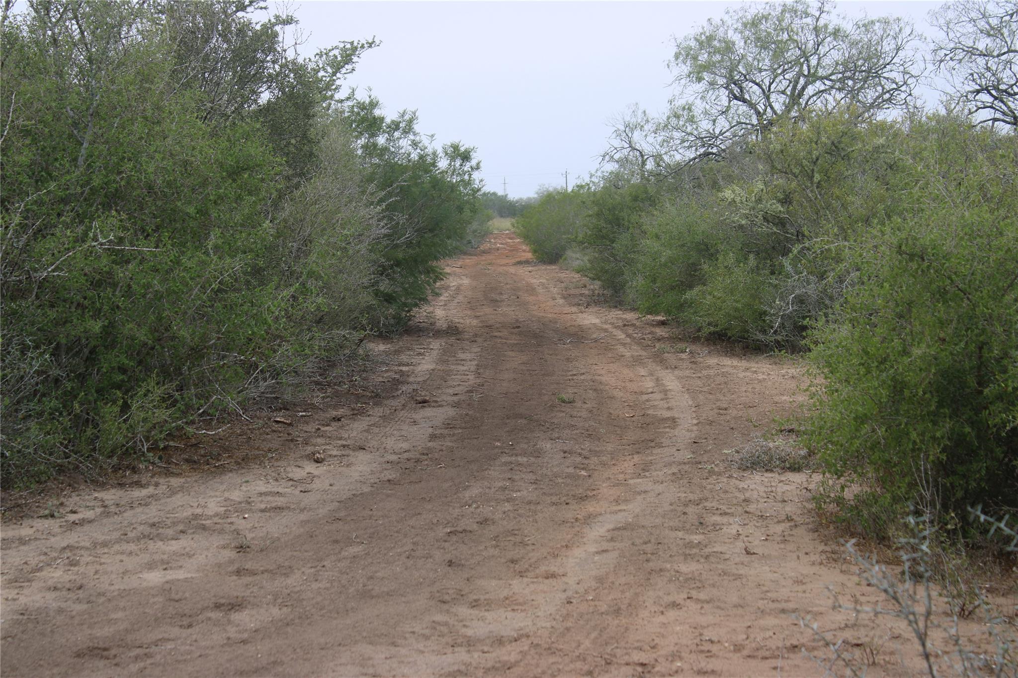 8993 N County Rd 101 Rd, San Diego, TX 78384