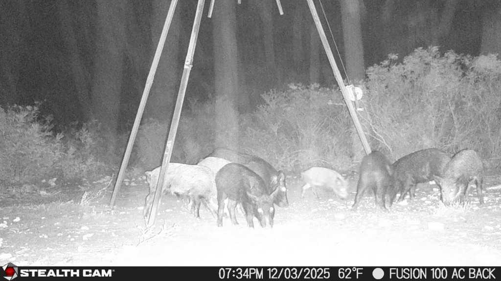 8993 N County Rd 101 Rd, San Diego, TX 78384