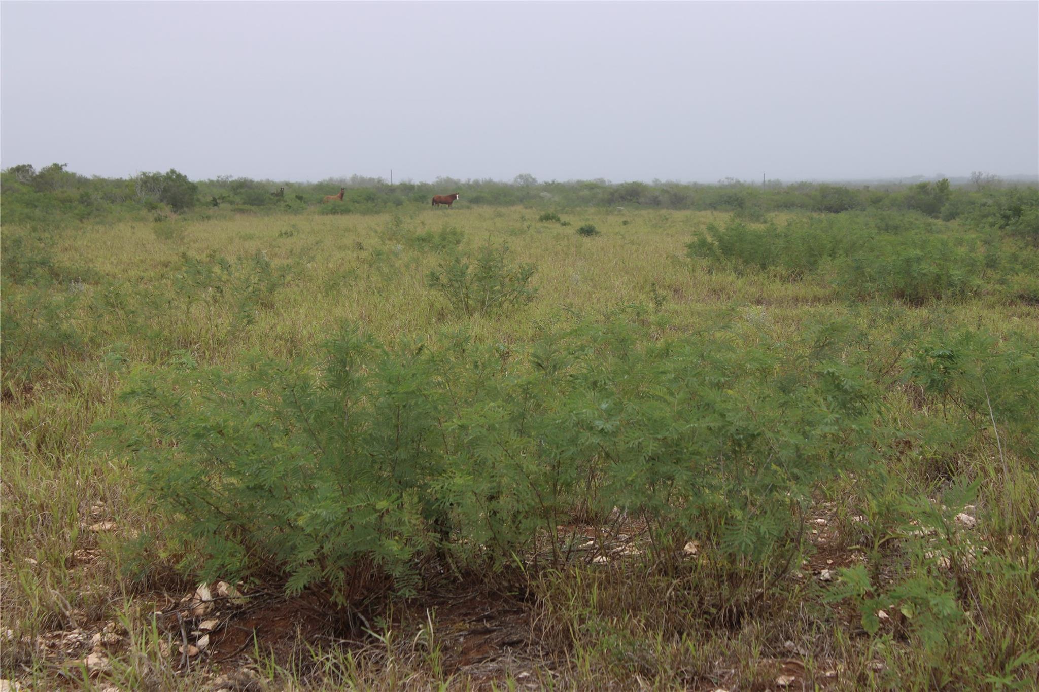 8993 N County Rd 101 Rd, San Diego, TX 78384