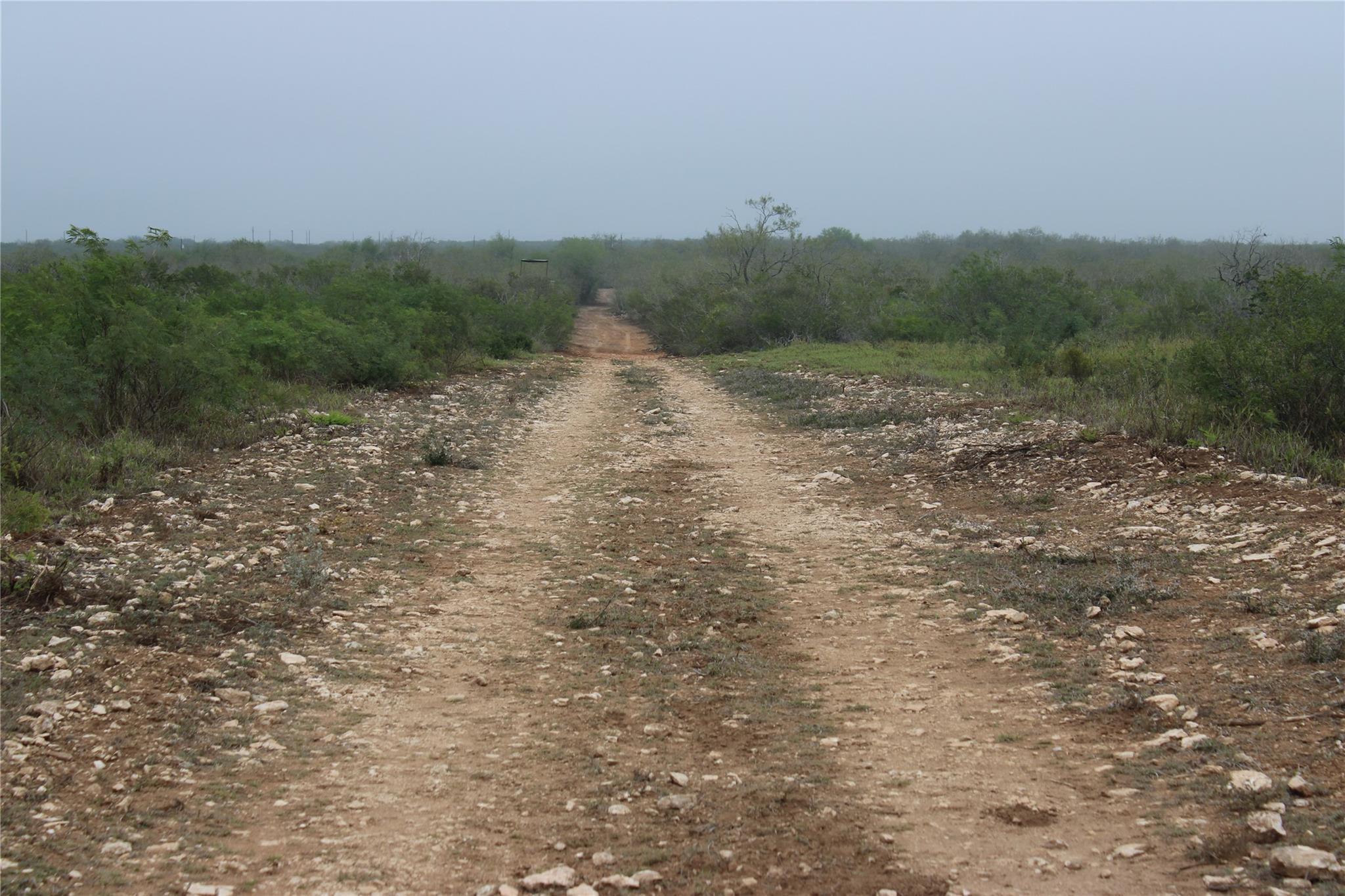 8993 N County Rd 101 Rd, San Diego, TX 78384