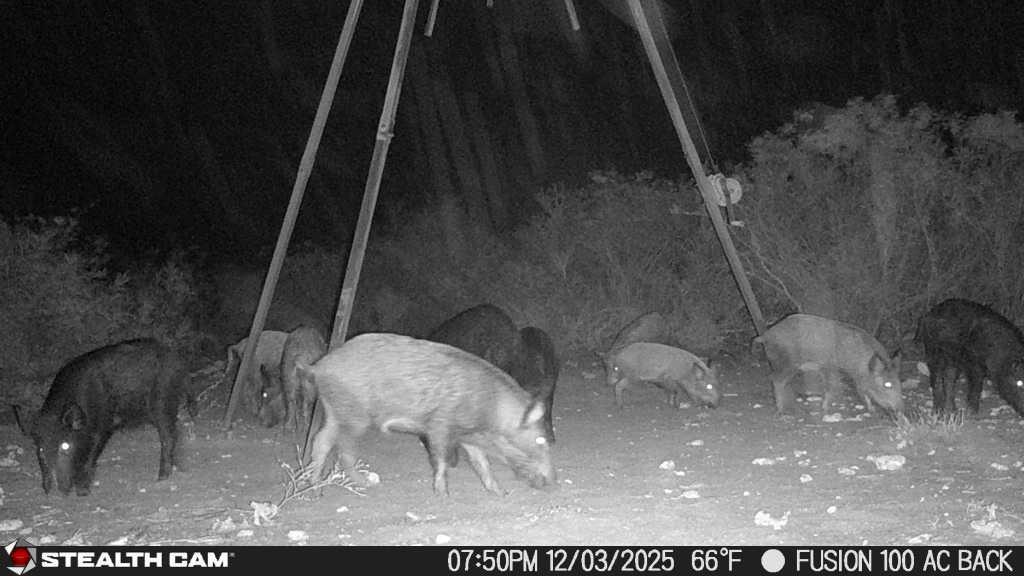 8993 N County Rd 101 Rd, San Diego, TX 78384