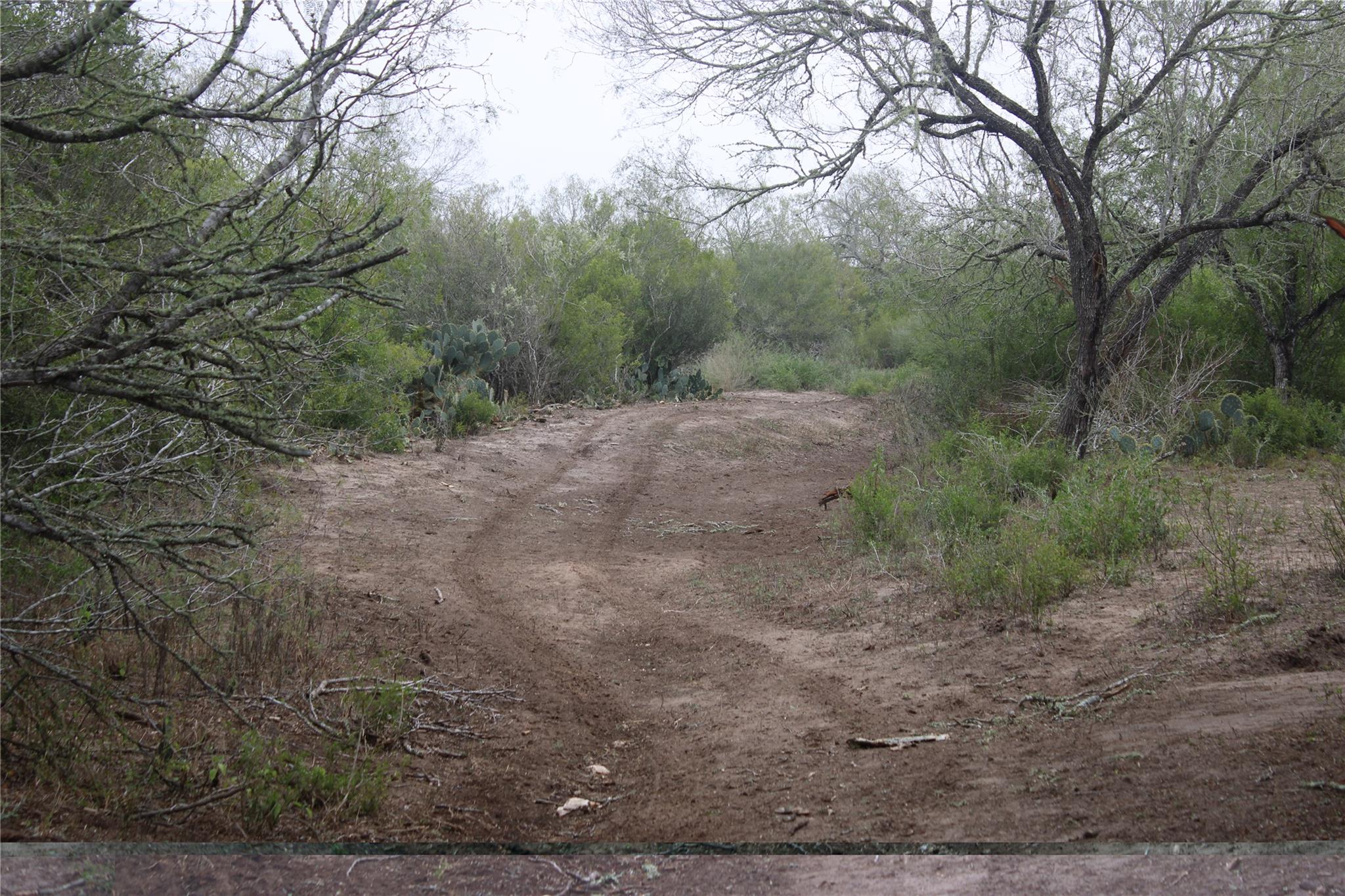 8993 N County Rd 101 Rd, San Diego, TX 78384