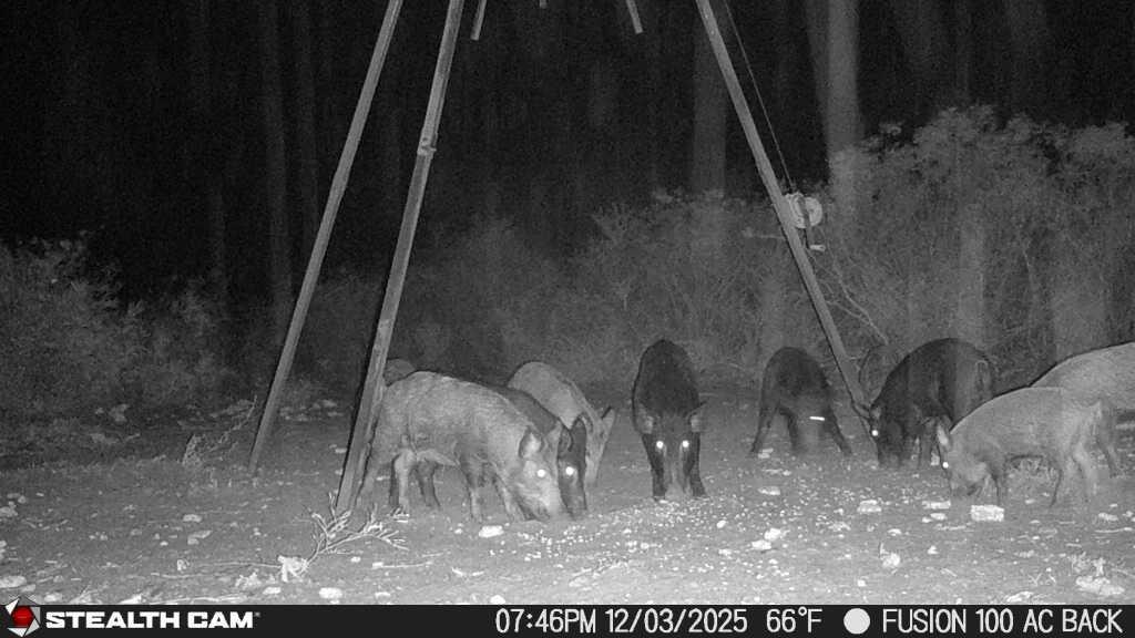 8993 N County Rd 101 Rd, San Diego, TX 78384