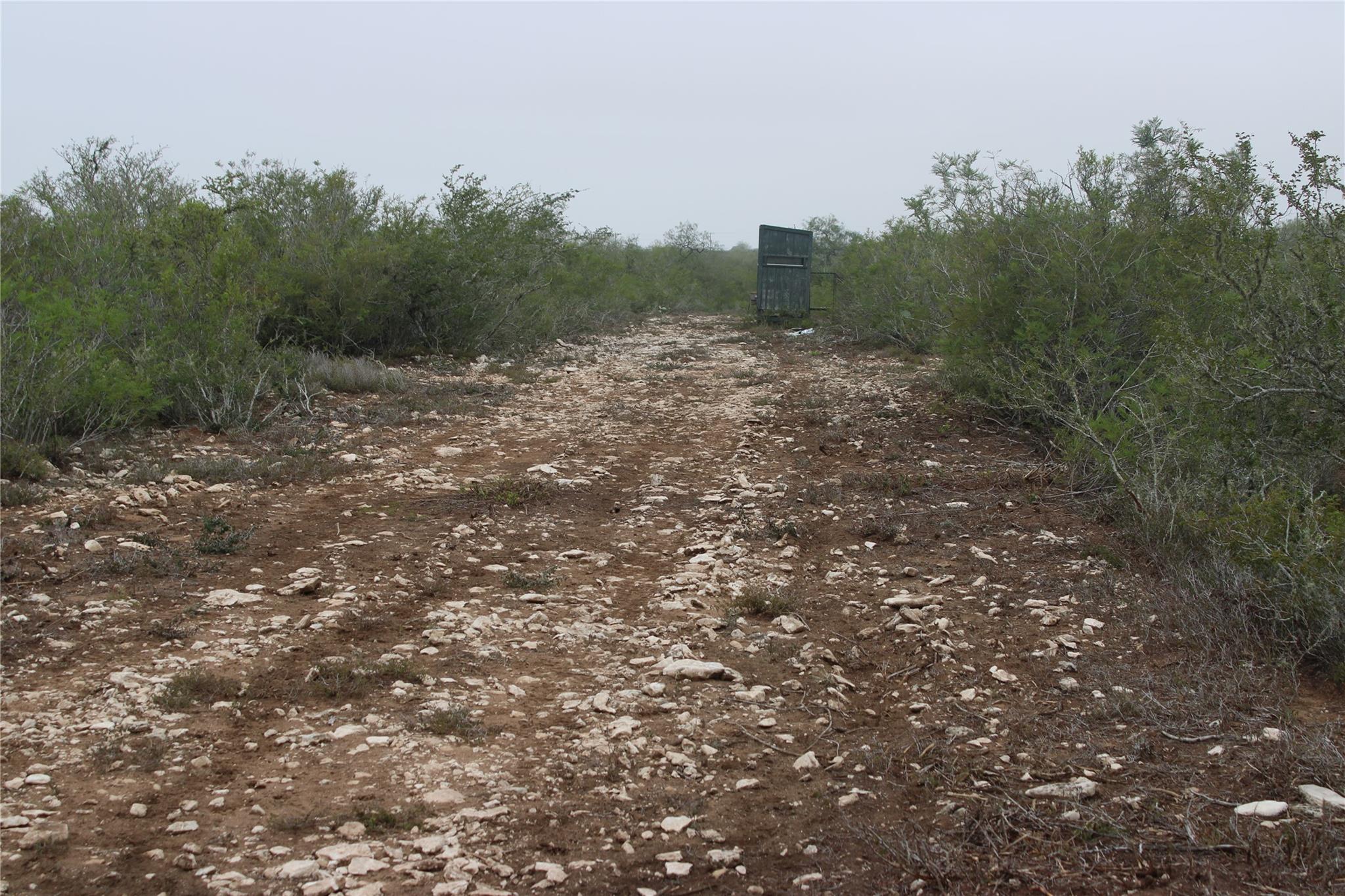 8993 N County Rd 101 Rd, San Diego, TX 78384