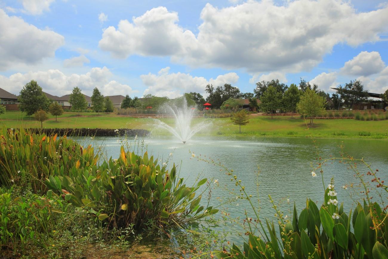 1741 Mexican Heather Dr, Leander, TX 78641