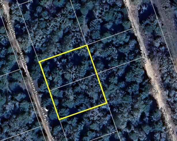 TBD Hickory St, Paige, TX 78659