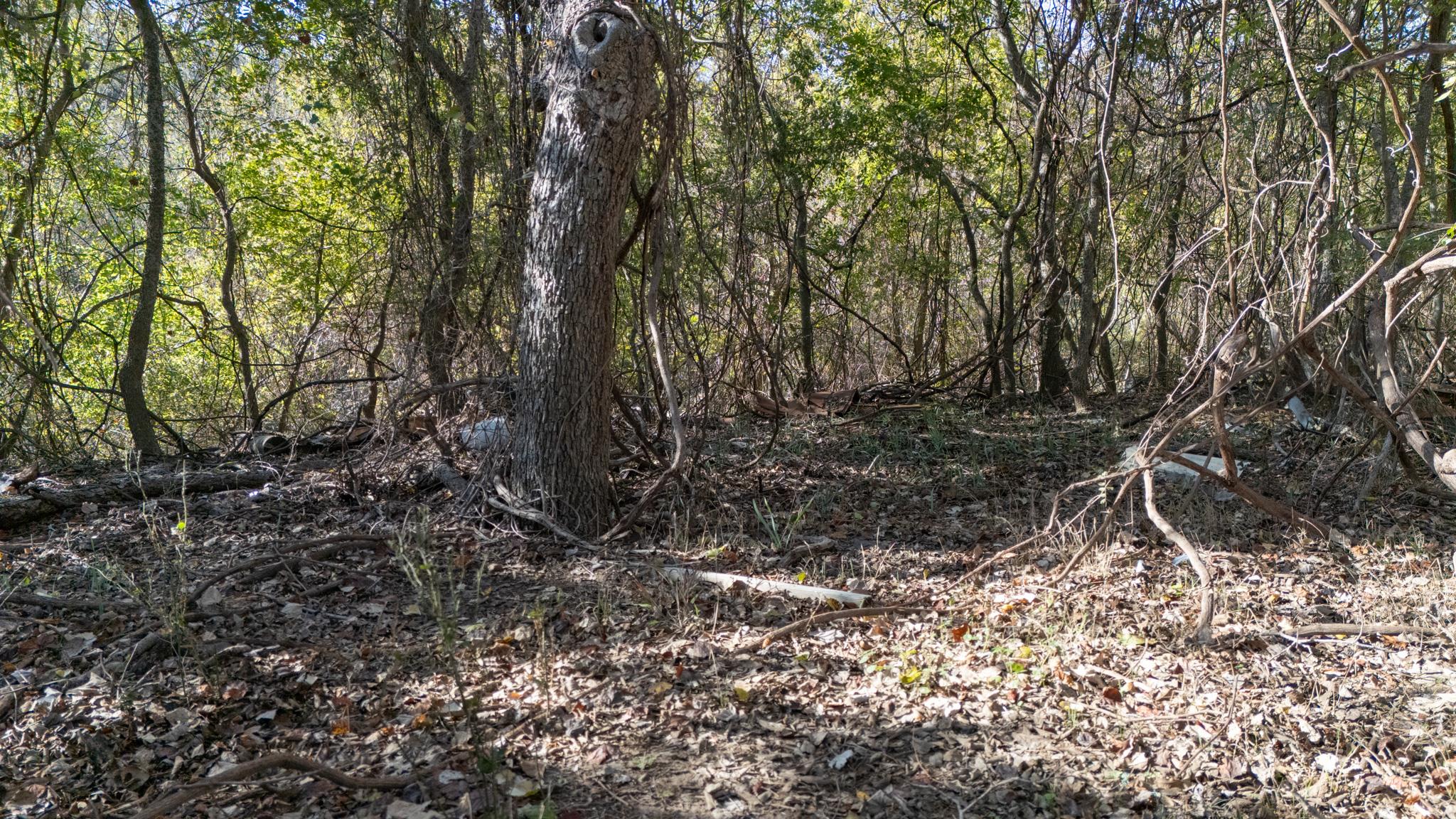 TBD Darst Creek Ln, Seguin, TX 78155