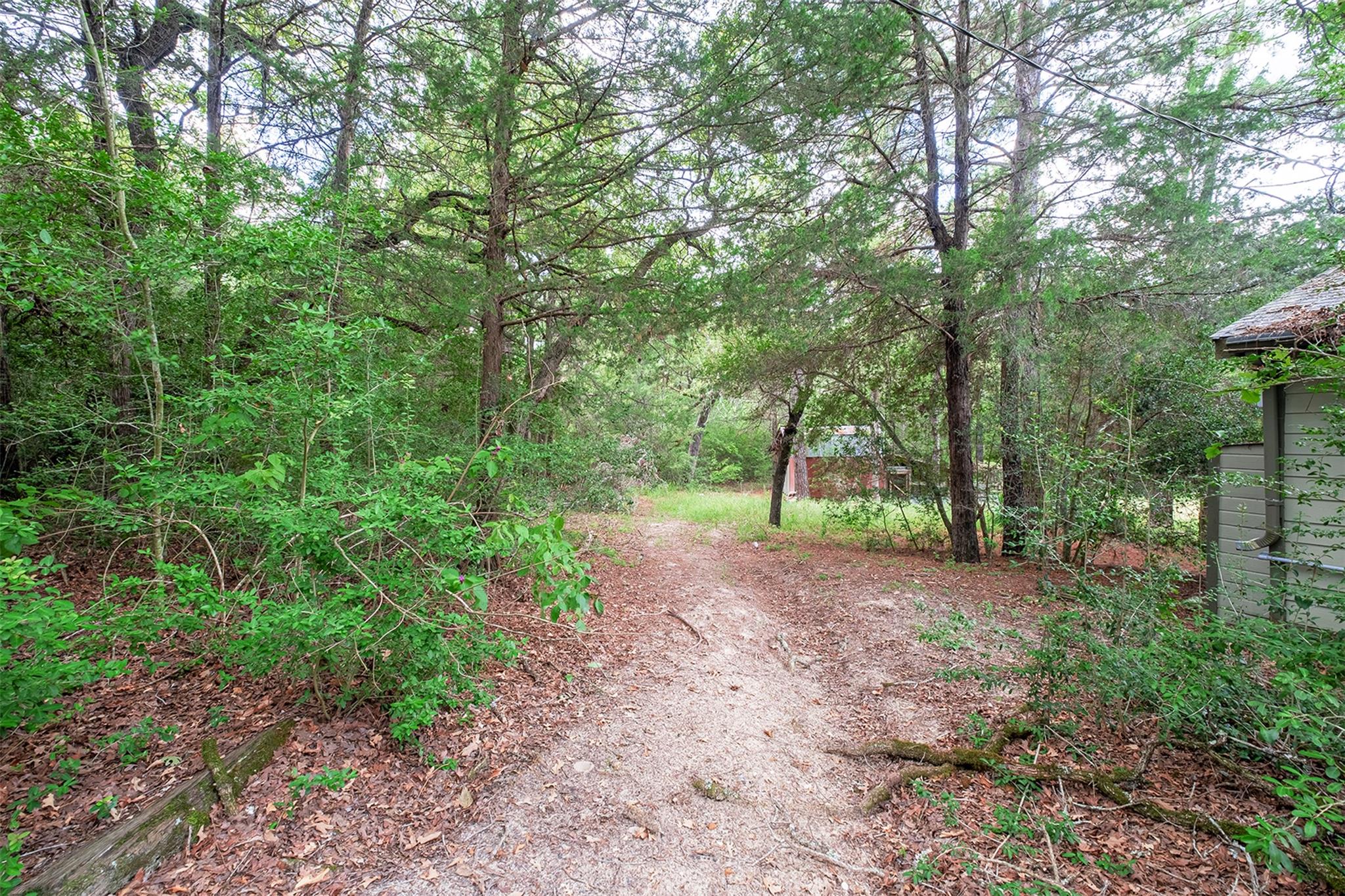 143 Old Piney Trl # B, Paige, TX 78659