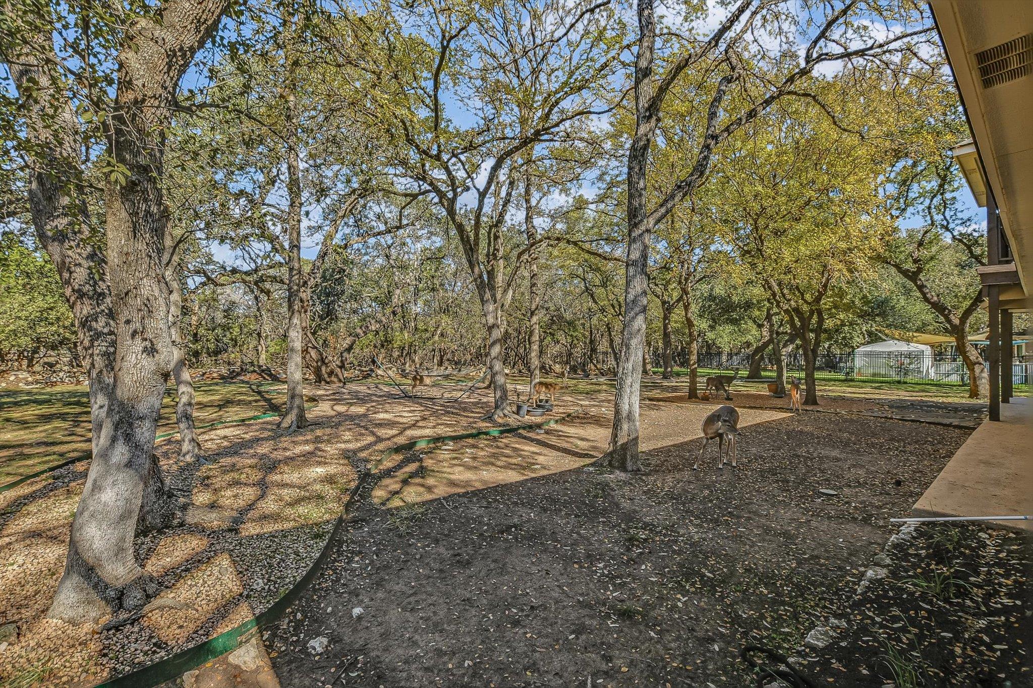 30320 La Quinta Dr, Georgetown, TX 78628