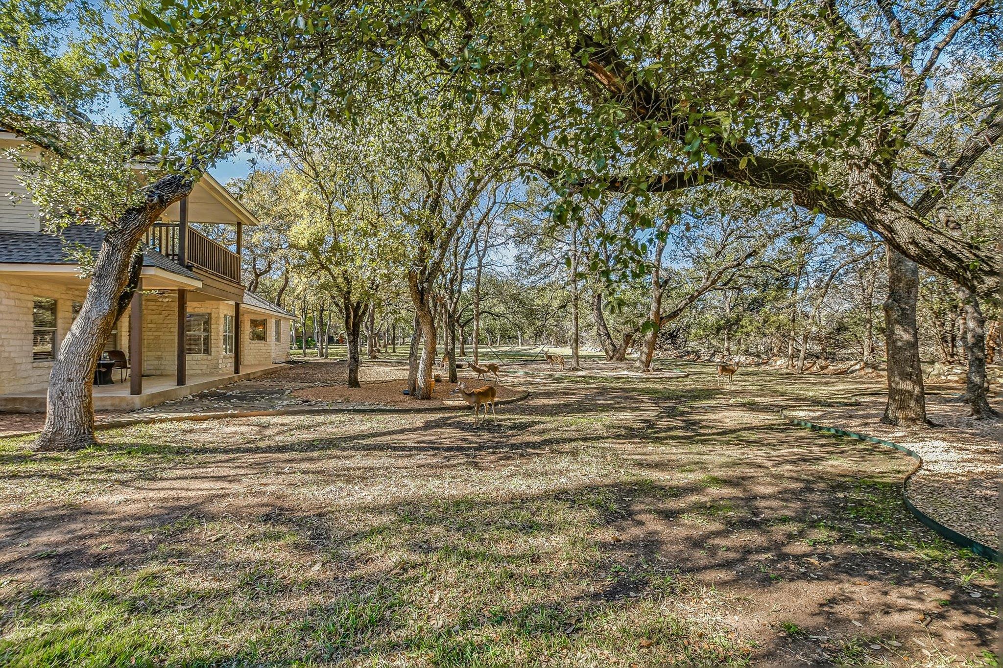 30320 La Quinta Dr, Georgetown, TX 78628