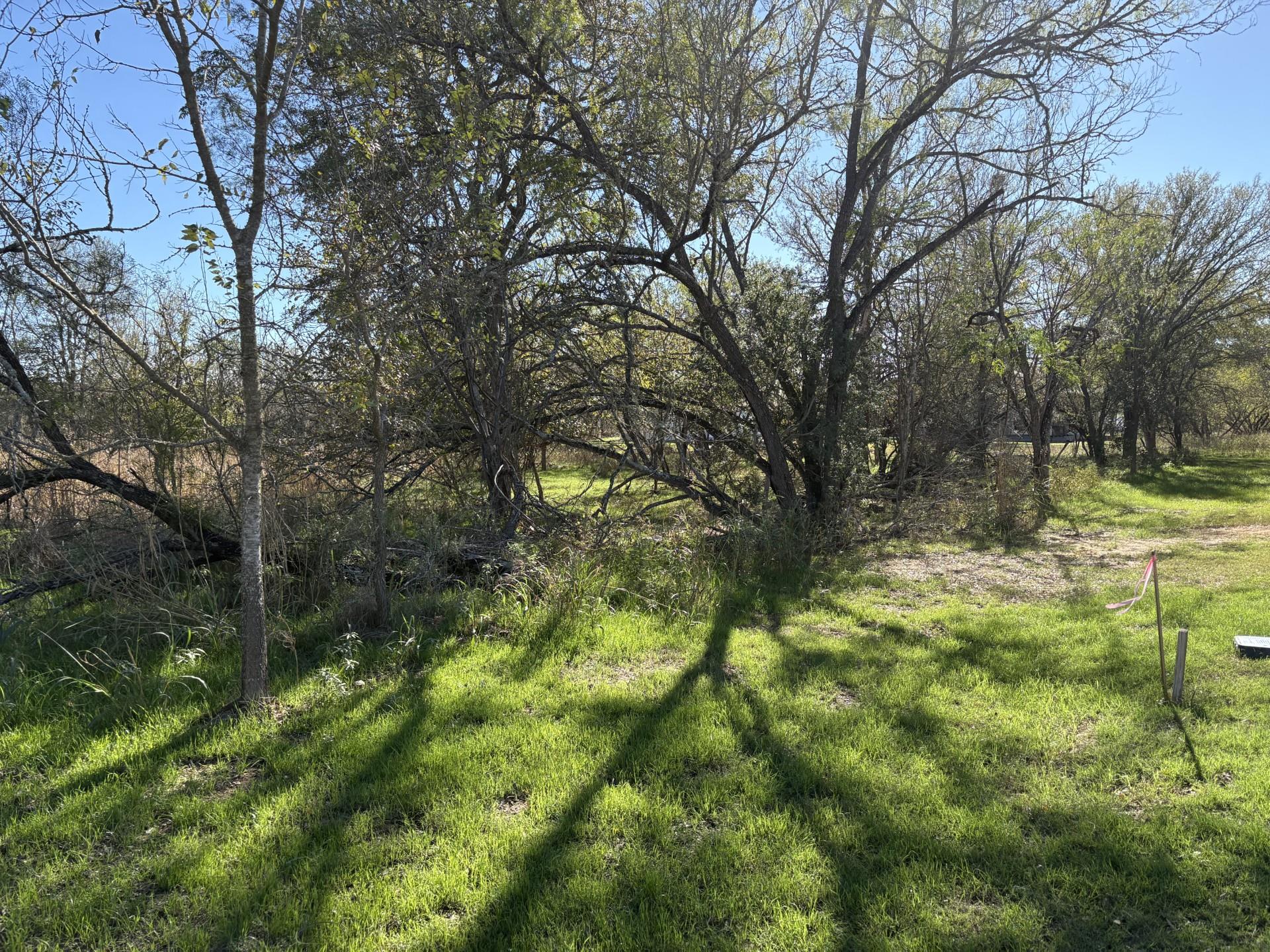 131 Waimanalo Dr, Bastrop, TX 78602