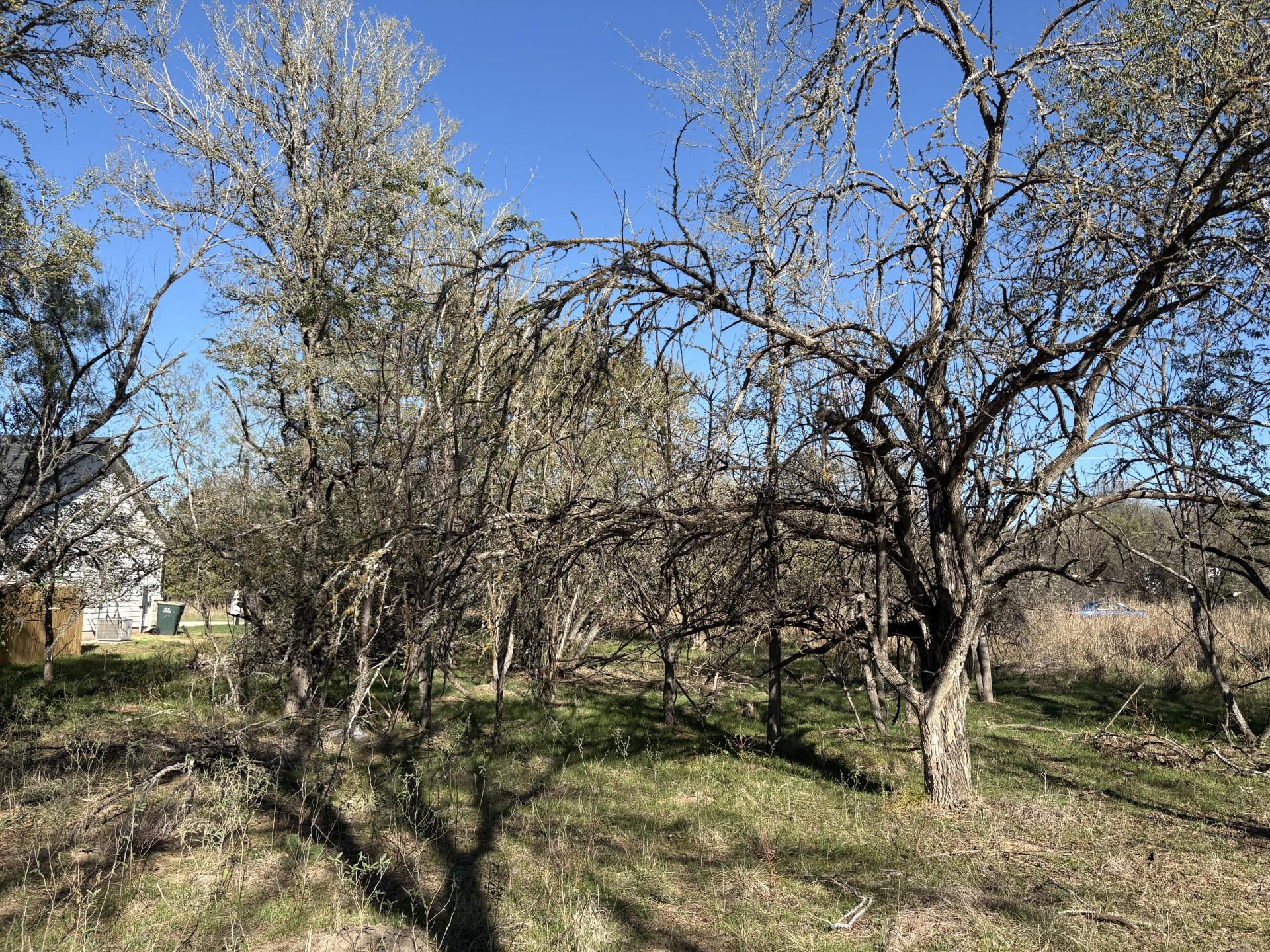 131 Waimanalo Dr, Bastrop, TX 78602