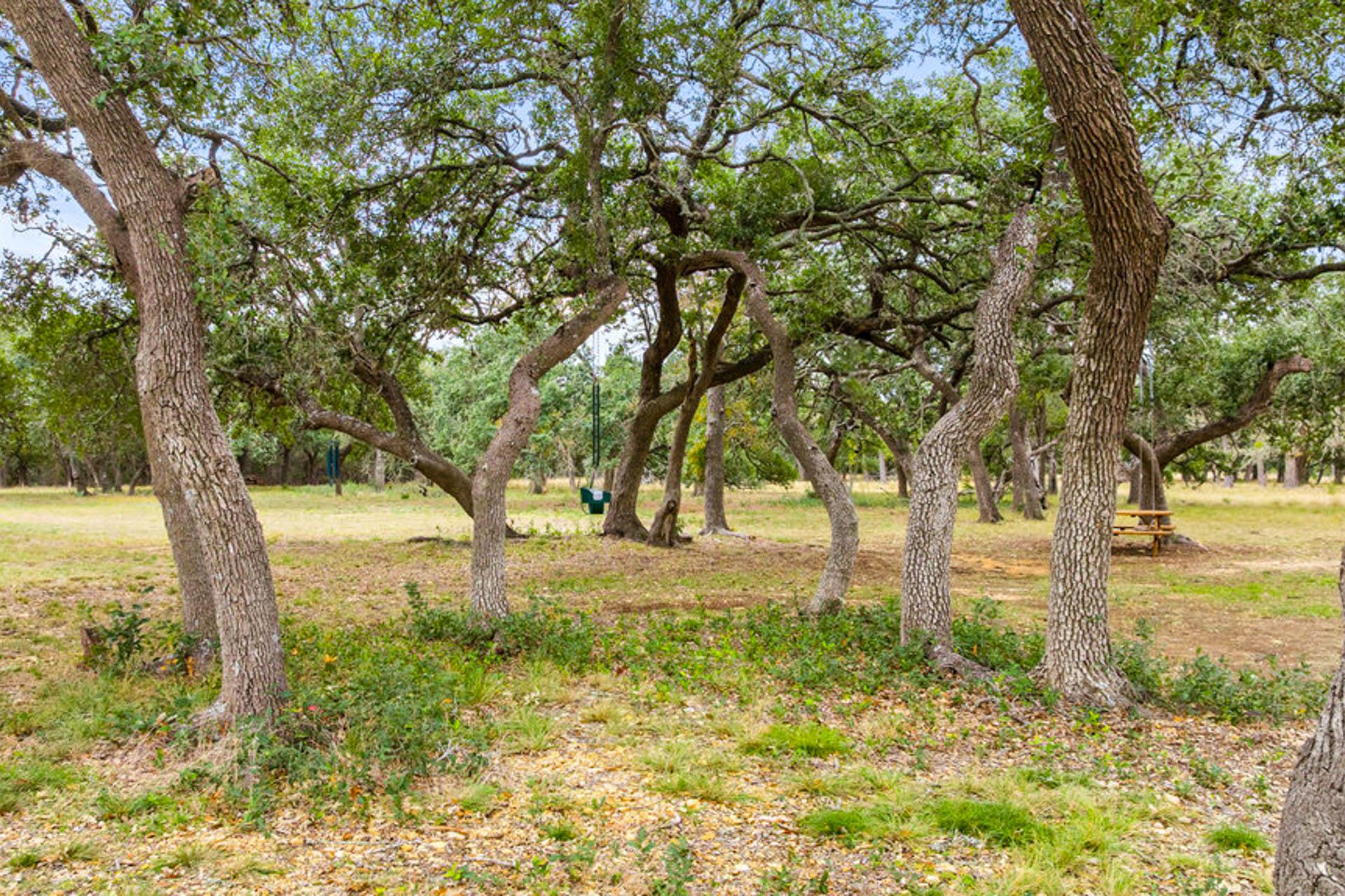 820 Glen Crest Dr, Blanco, TX 78606