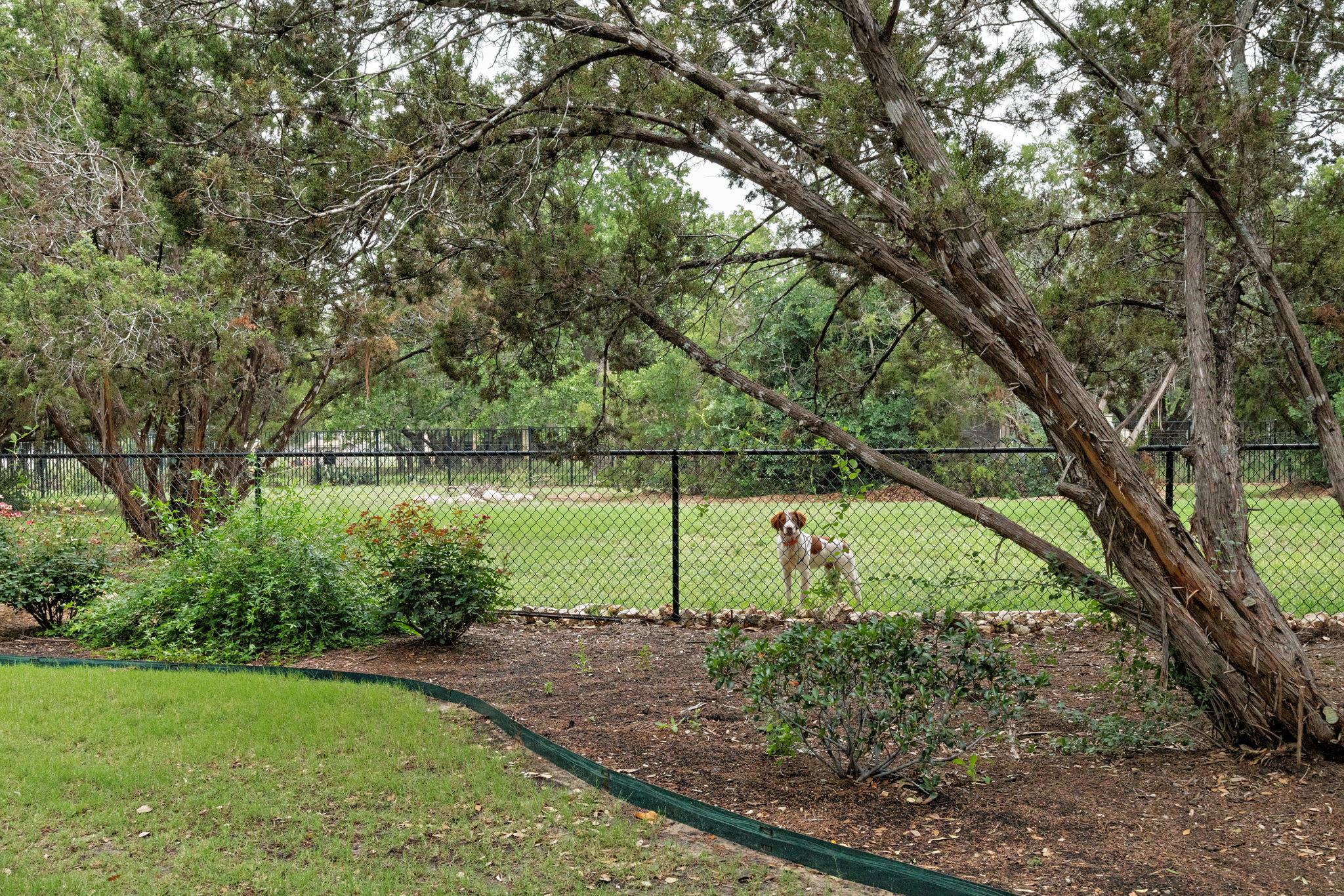 205 Red Mulberry Way, Leander, TX 78641