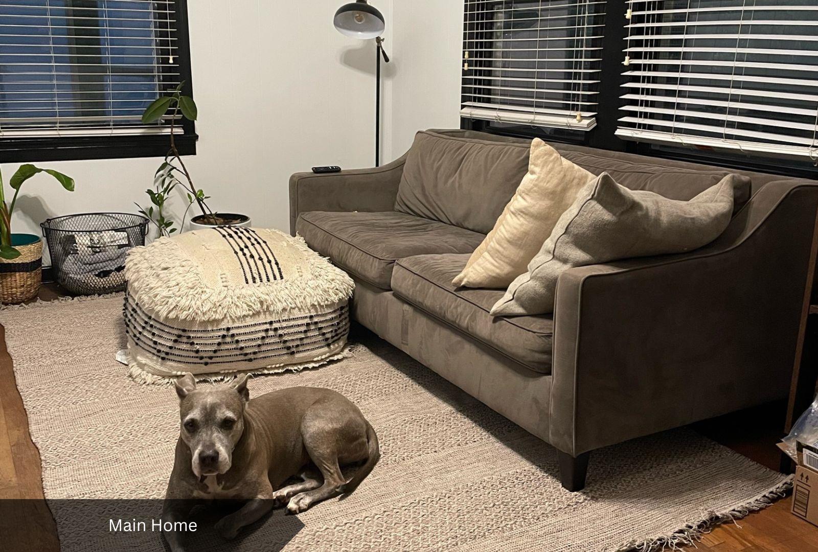 00000 Diane Dr, Austin, TX 78745