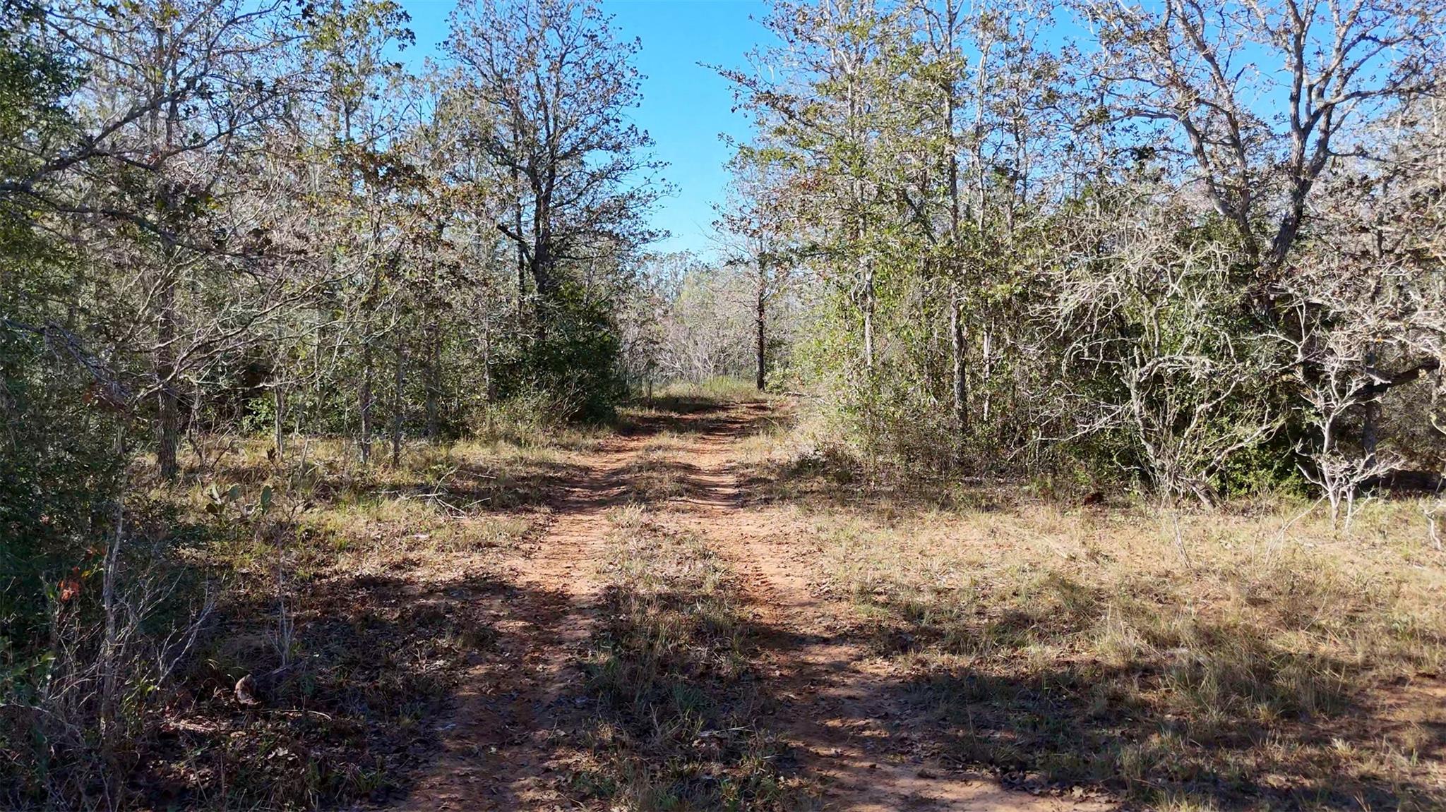 7180 CR 283, Harwood, TX 78632